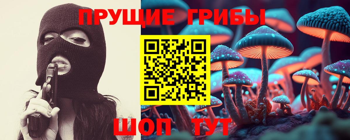 Галлюциногенные грибы Cubensis  Вход с VPN  Ирбит 